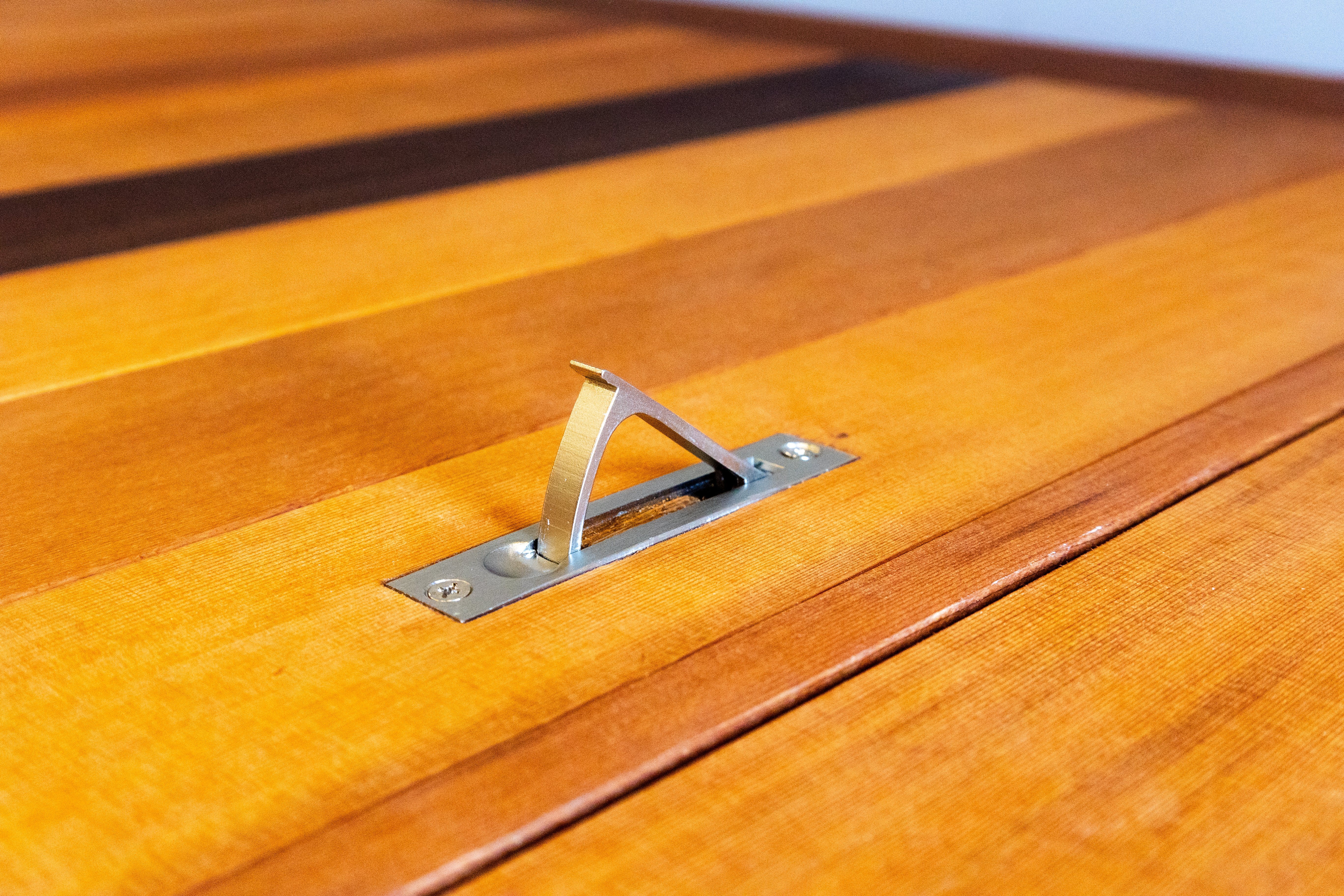 CEDRO Cold Plunge Lid Hook